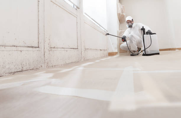 Trusted Mold Testing service in Oxford, MI - WQB Mold Removal